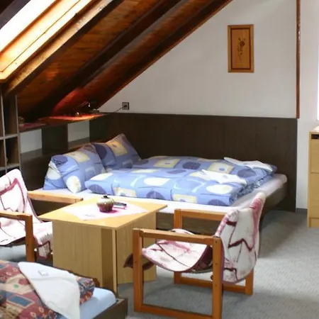U Vlasku Guest house Karlovy Vary