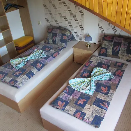 Guest house U Vlasku 3*