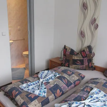 Guest house U Vlasku 3*
